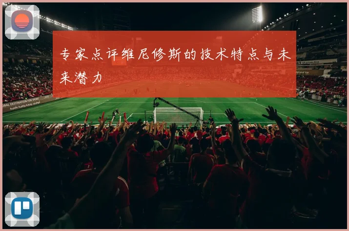 专家点评维尼修斯的技术特点与未来潜力