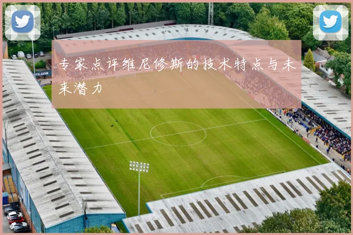专家点评维尼修斯的技术特点与未来潜力